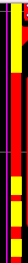 11.png